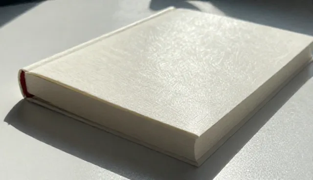 定制化系统开发的适用条件与维护建议